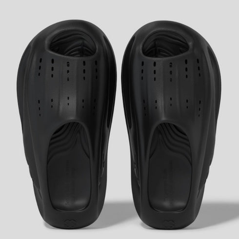 Whale Float Slides